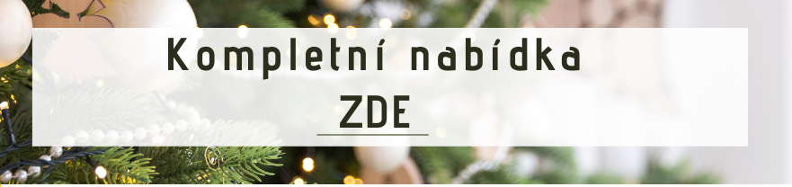 VÁNOCE (4)